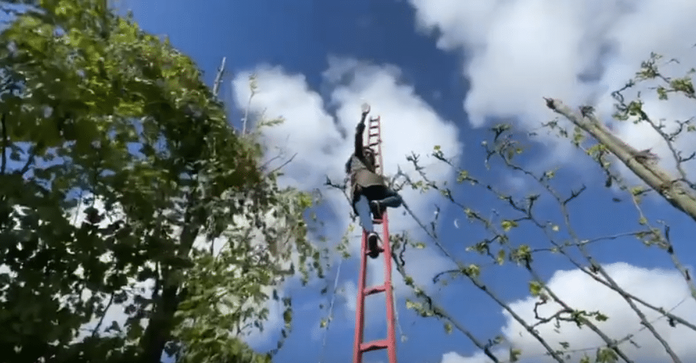Screenshot of Lindsay on a ladder in the vines of I Borboni