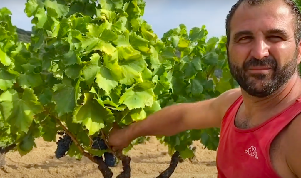 Roscioli Italian Wine Club Cantine di Neoneli Native Sardinian varieties