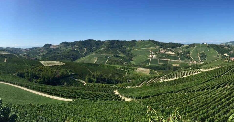 View of the Barolo wine region