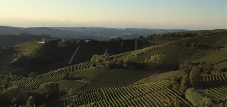 Rolling green hills of the Barolo wine region