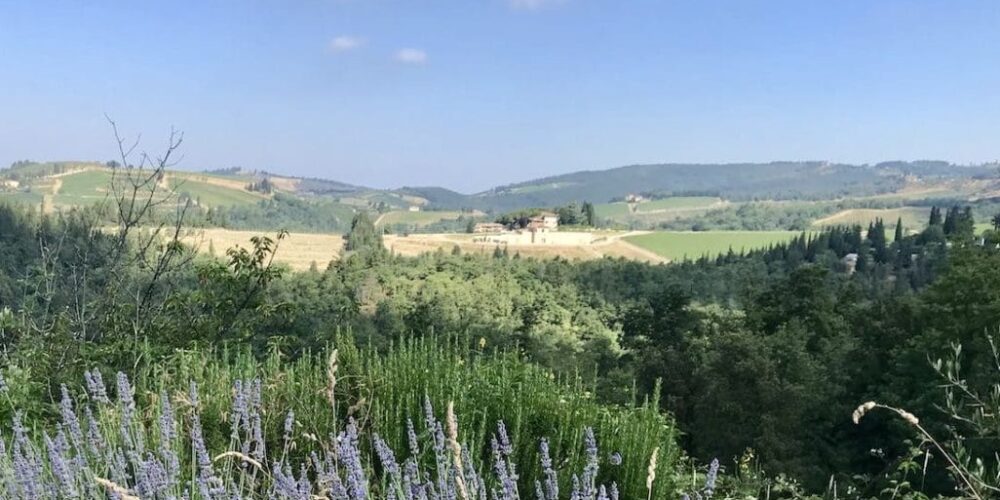View of Italian countryside where natural wine is made