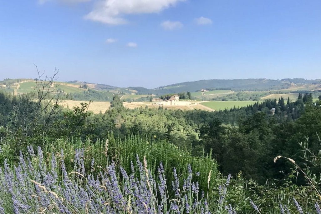 View of Italian countryside where natural wine is made