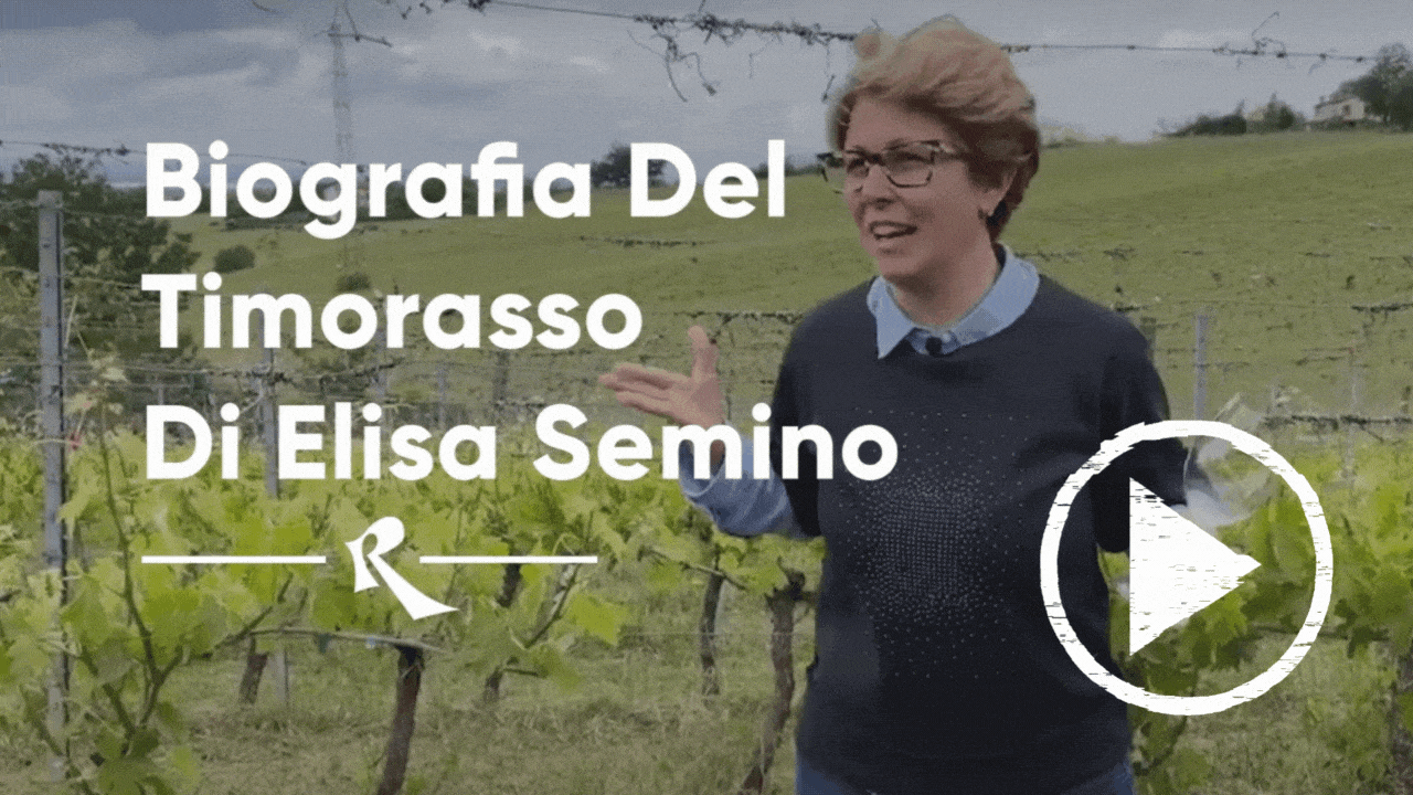 Elisa Semino YouTube thumbnail