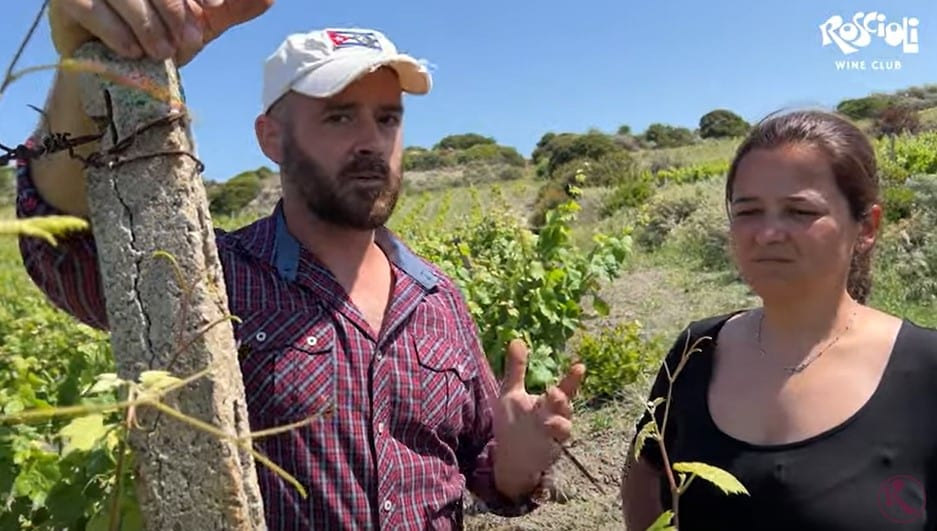 Antichi Vigneti Manca