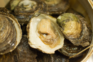 Oysters Prat-ar-coum